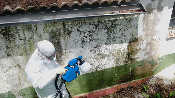 Top rated local Commercial Mold Remediation specialists in Hallwood, VA